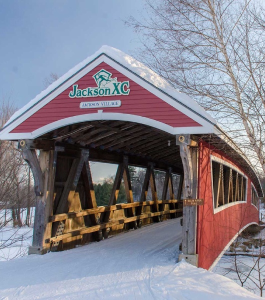 Jackson Cross Country