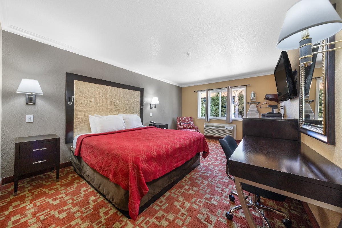 1 King Bed