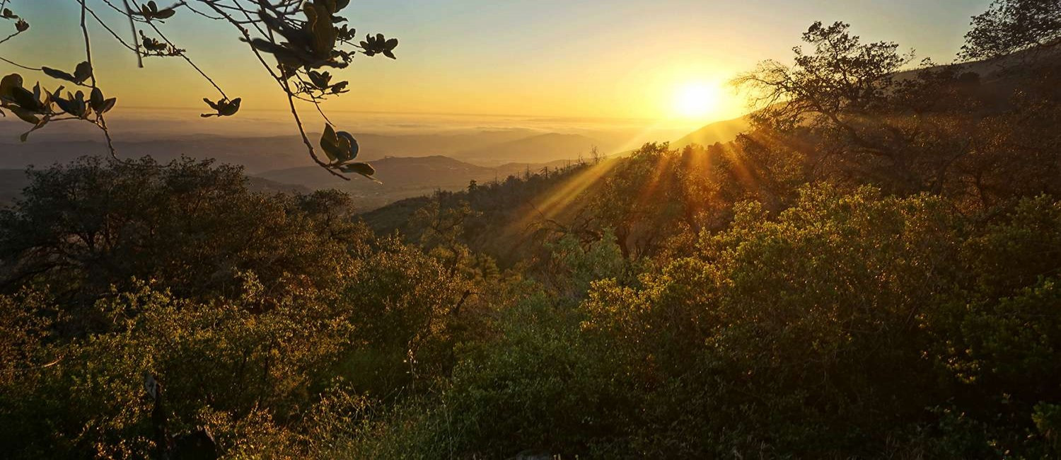 Fallbrook Attractions Are Just Minutes Away