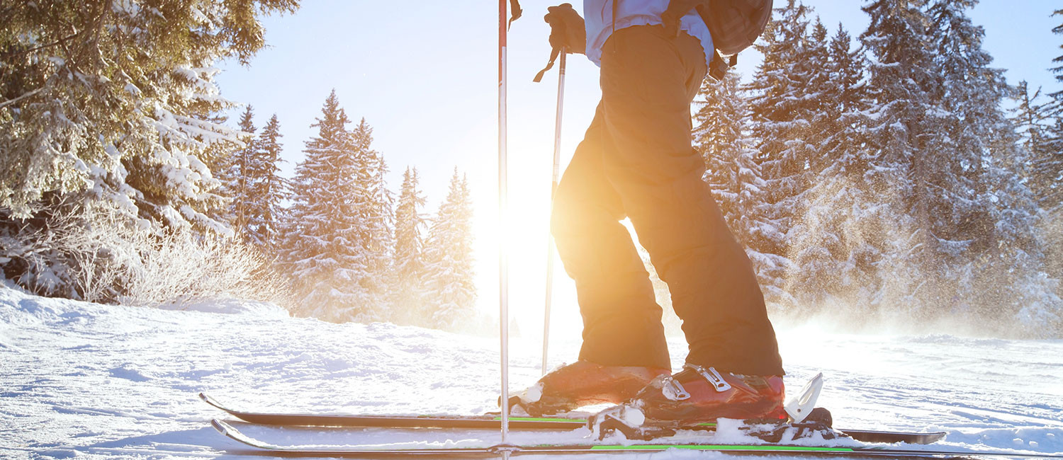 Discover Top Attractions Nearby