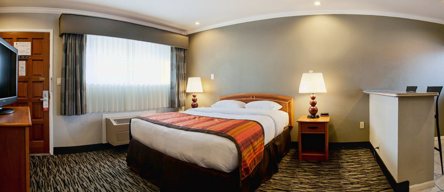 Enjoy A Relaxing Stay In Our Spacious Guestrooms